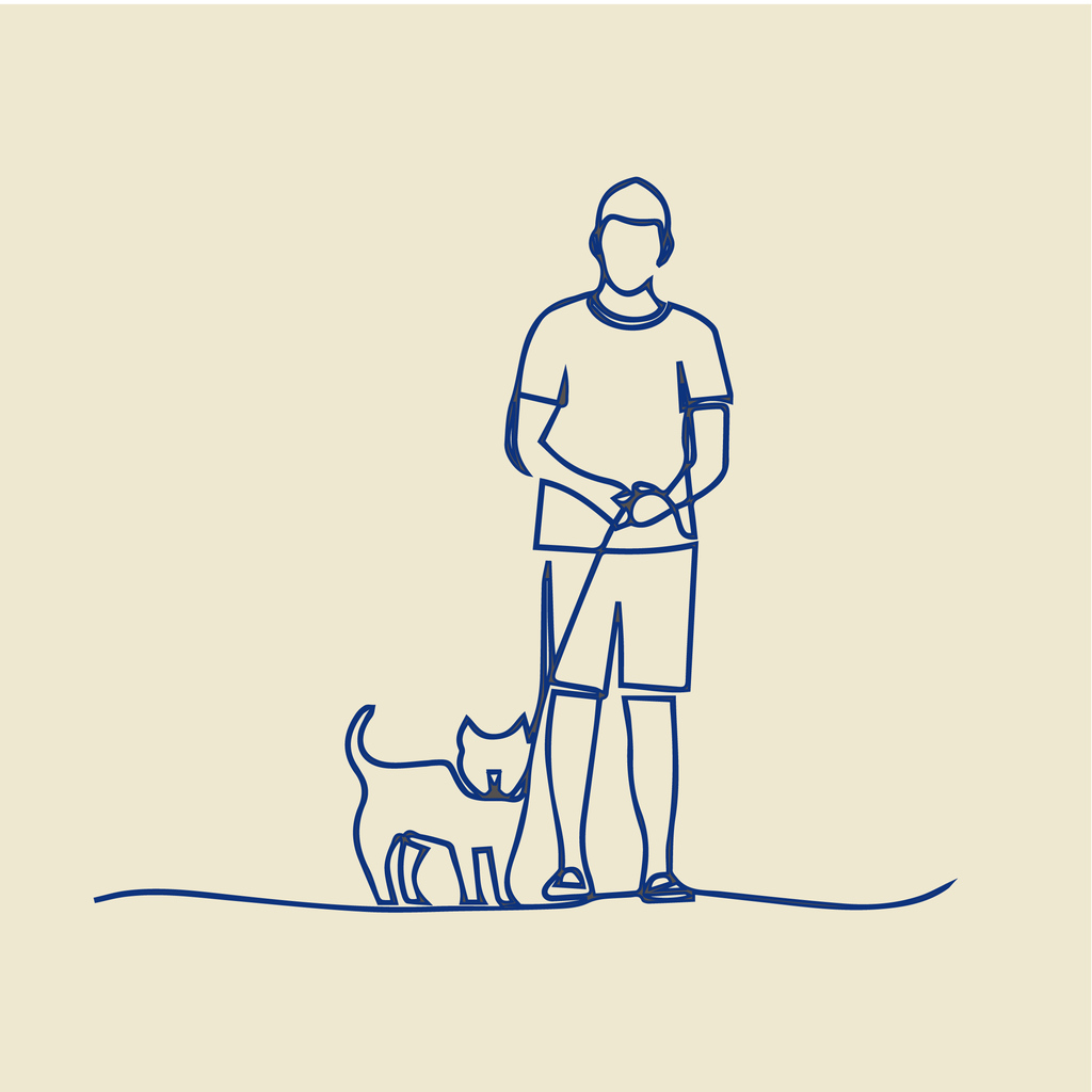 your averyday kickstarter retractable dog leash harness set pet supplies supplier