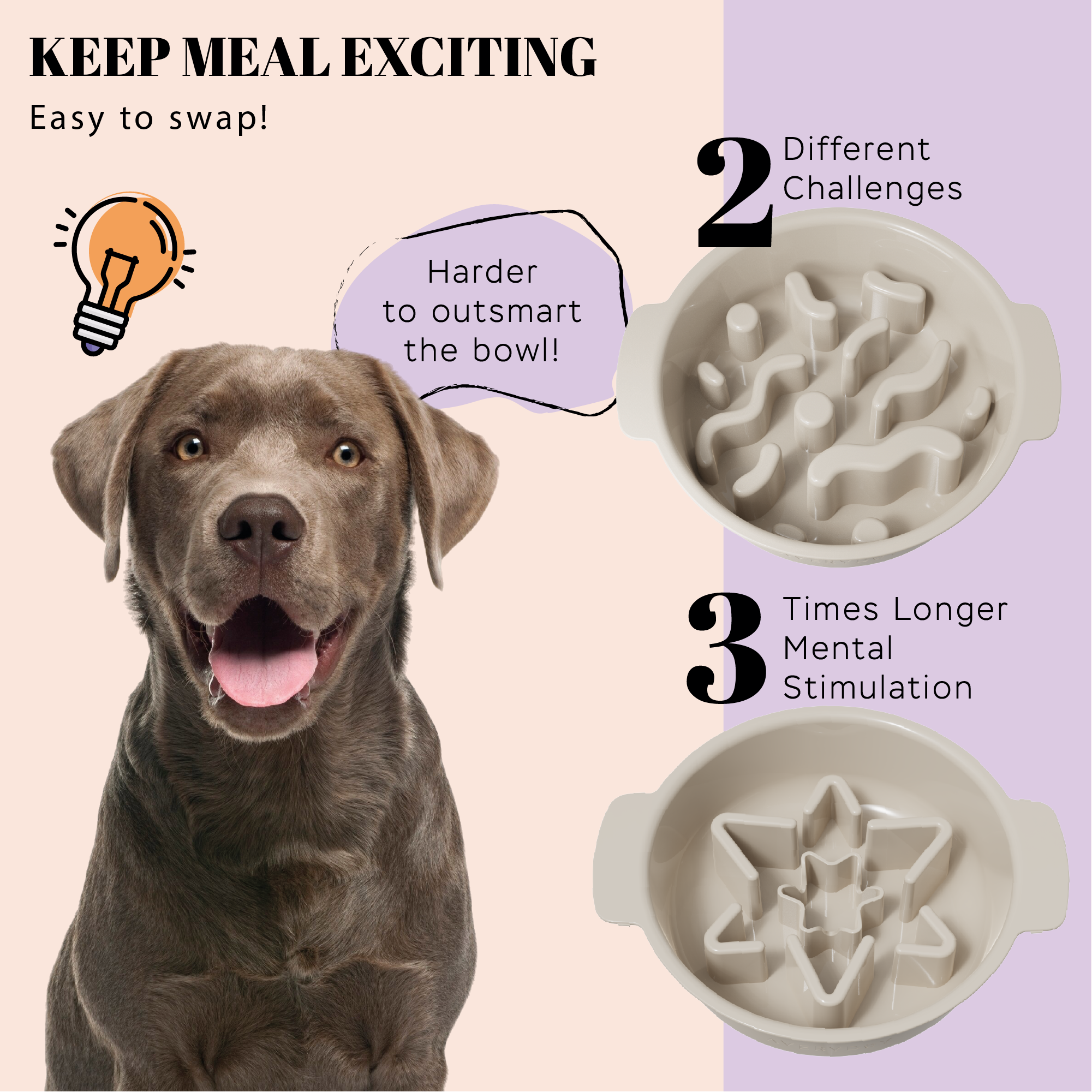 3 Pack Slow Feeder Dog Bowl Set – AveryDay