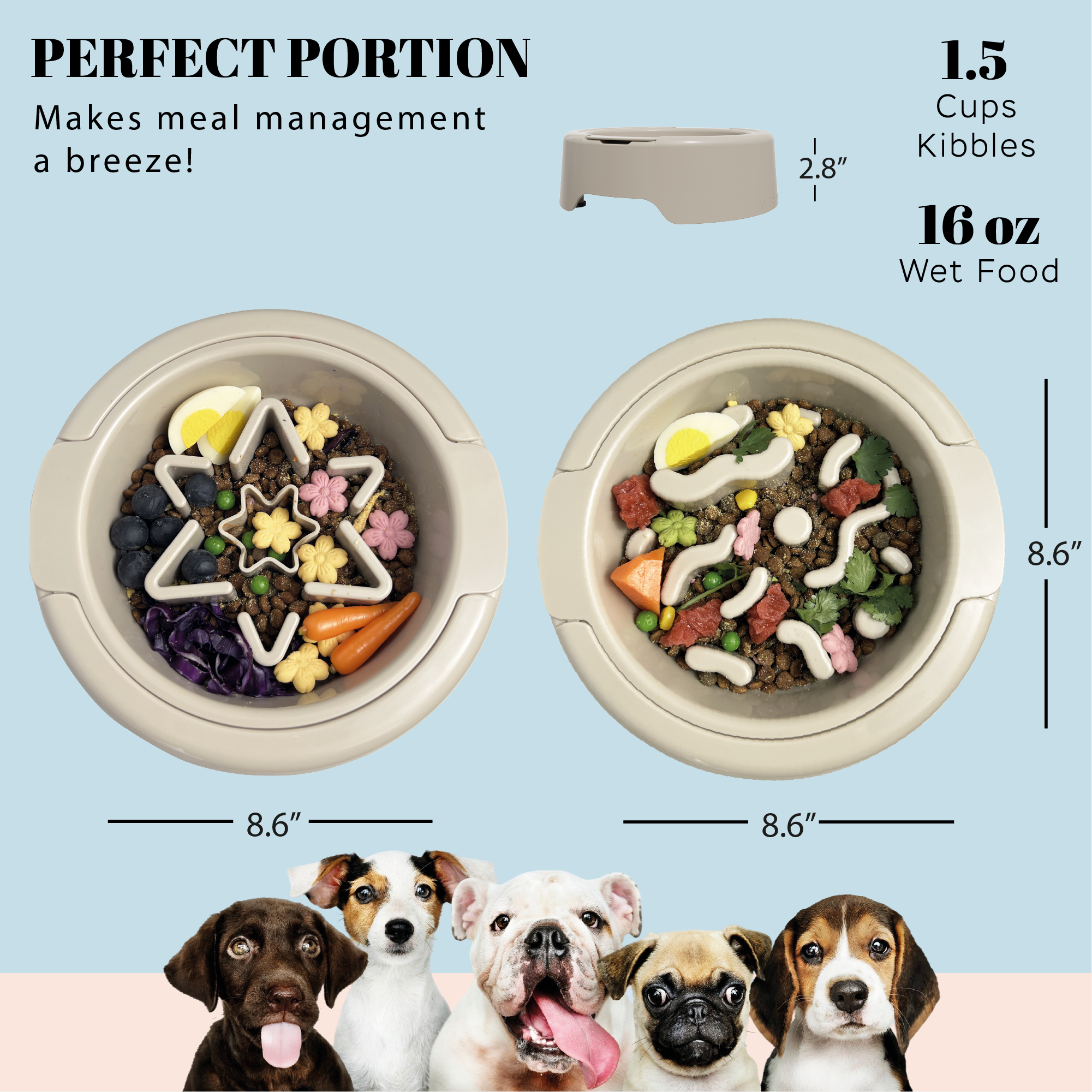 24 inch elevated dog bowl Pyramid Elevated Double Dog Feeder