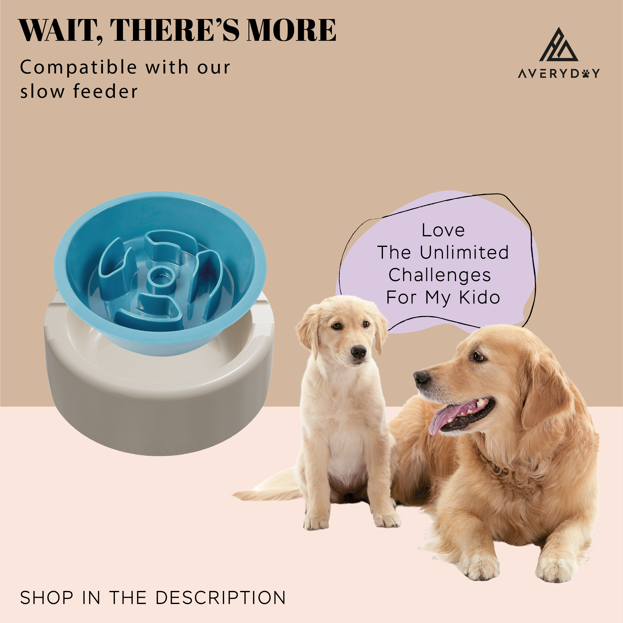 3 Pack Slow Feeder Dog Bowl Set – AveryDay